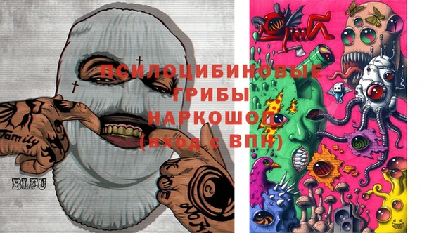 мет Алексин