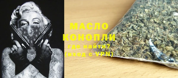 мет Алексин