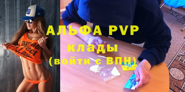 СК Ельня
