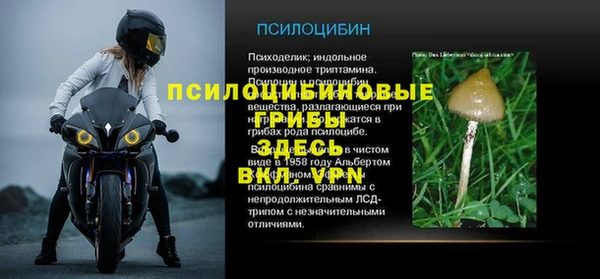 ALPHA PVP Алзамай