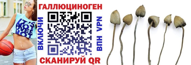 Галлюциногенные грибы GOLDEN TEACHER  что такое   OMG как зайти  Алупка 